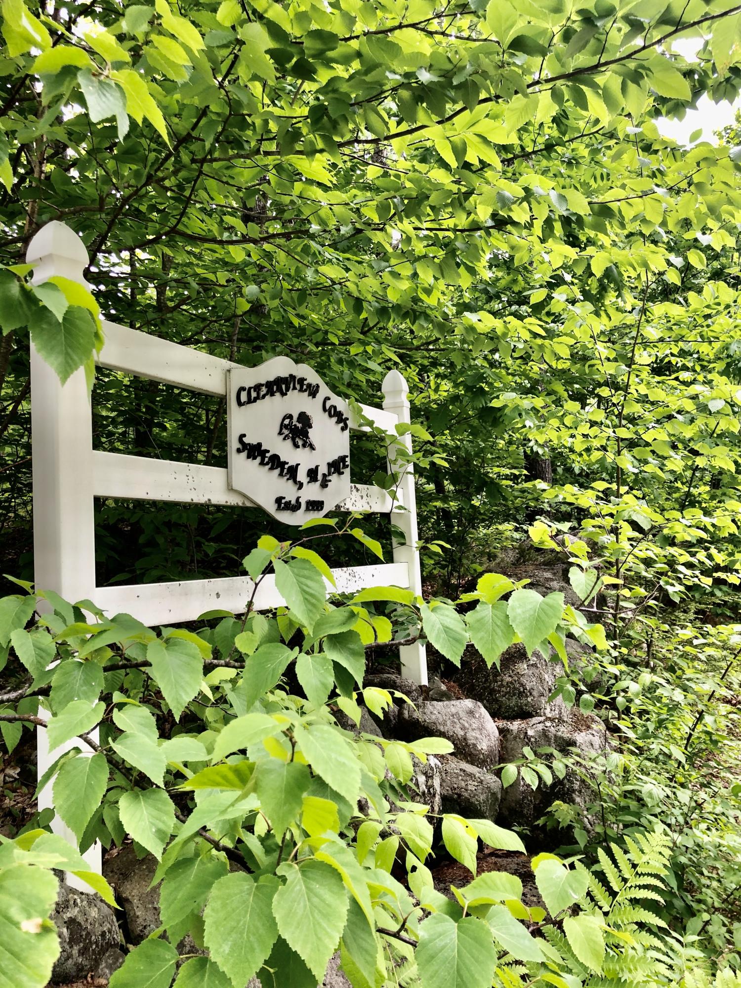 428 Black Mountain Road Harrison, ME 04040 - Photo 2 of 49 Welcome to 428 Black mountain Rd