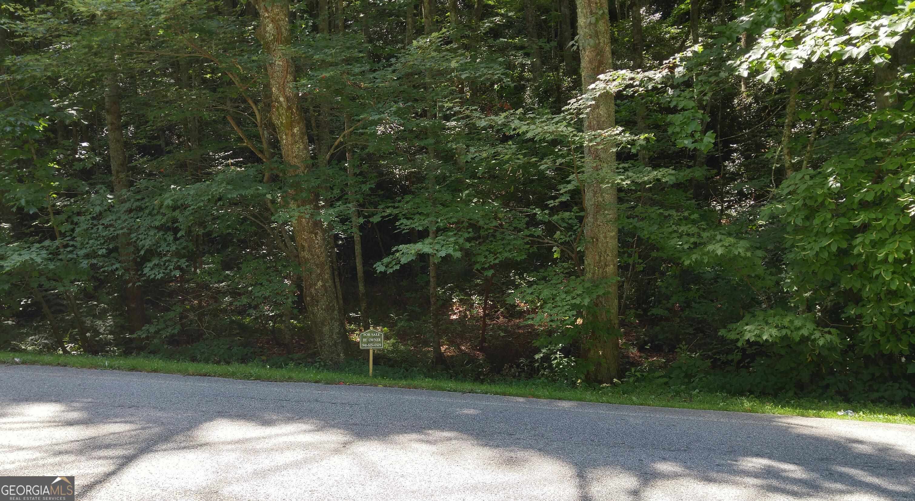 0 Bald Mountain Road, Unit LOT 8 Sky Valley, GA 30537 - Photo 4 of 7 a view of a yard