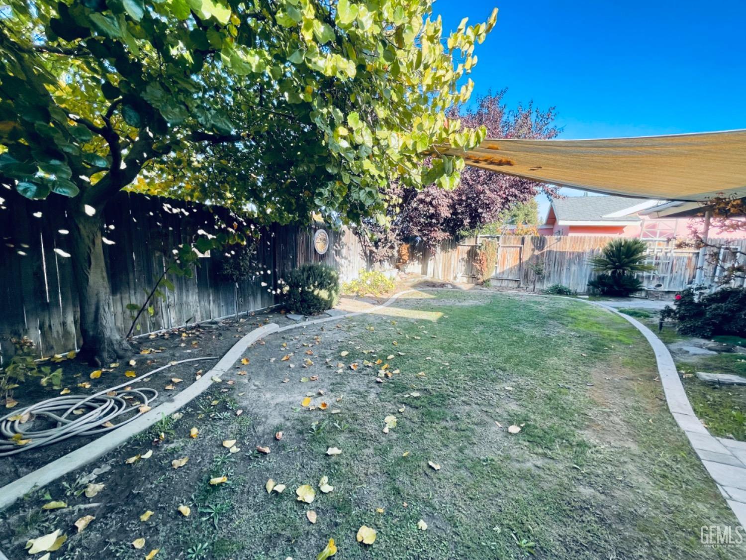 Undisclosed Address Shafter, CA 93263 - Photo 37 of 41 a view of a street with a large tree