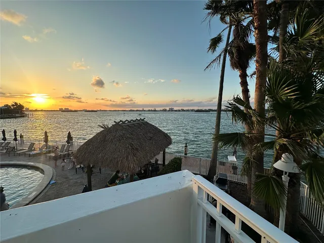 a view of a lake with a palm tree