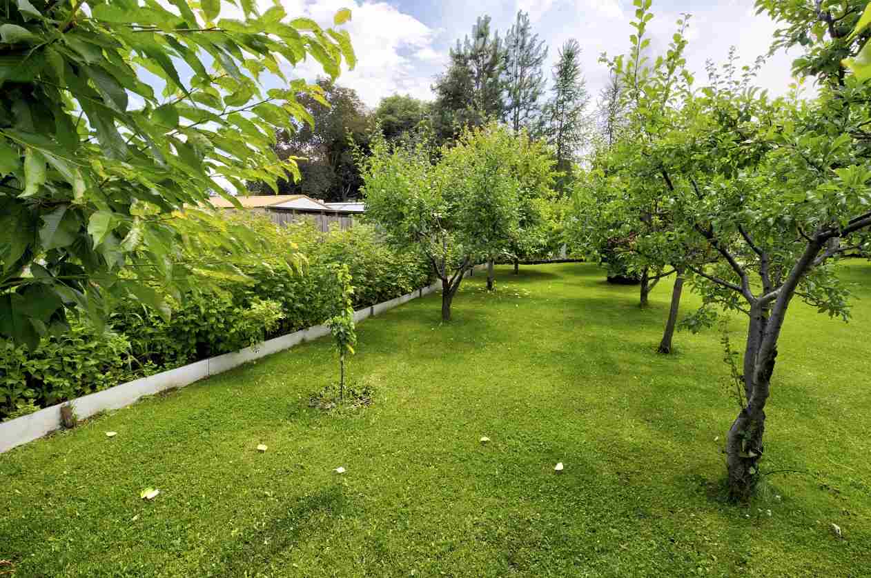 1106 North Rees Road Spokane, WA 99216 - Photo 5 of 20 Gallery Image 5