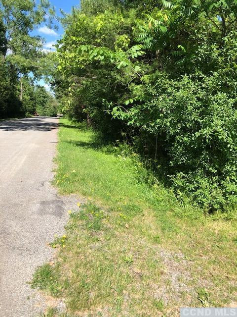 31 Rip Van Winkle Drive Athens, NY 12015 - Photo 3 of 7 a view of a yard with a tree