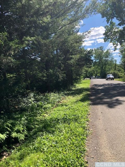 31 Rip Van Winkle Drive Athens, NY 12015 - Photo 5 of 7 a view of outdoor space and yard