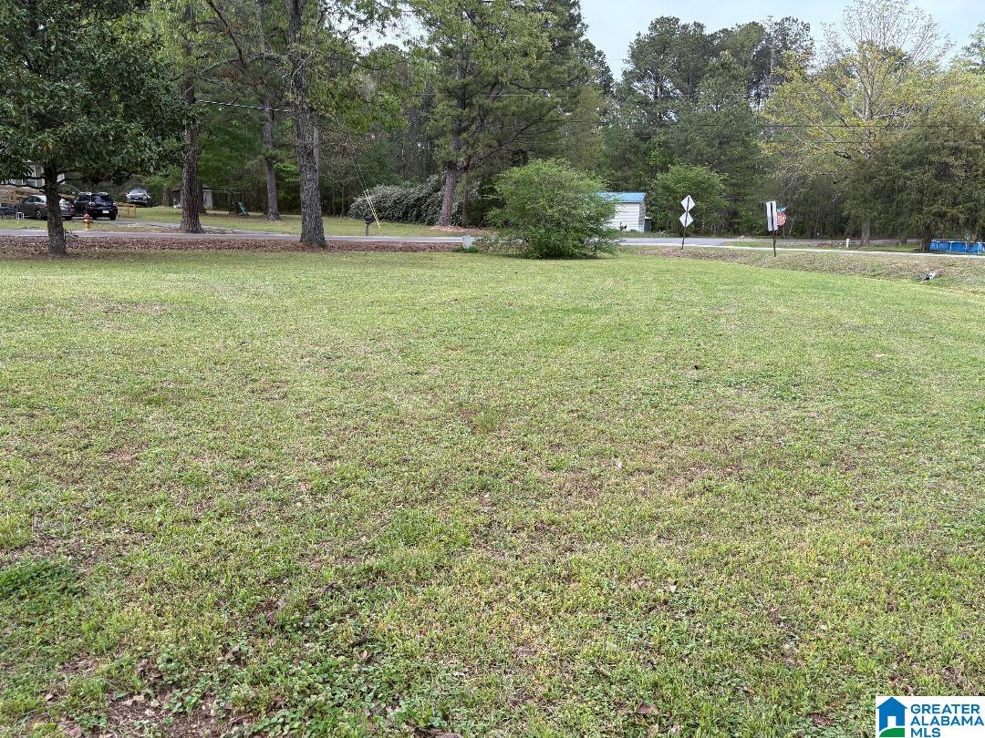 375 Fire Tower Road Cordova, AL 35550 - Photo 19 of 22