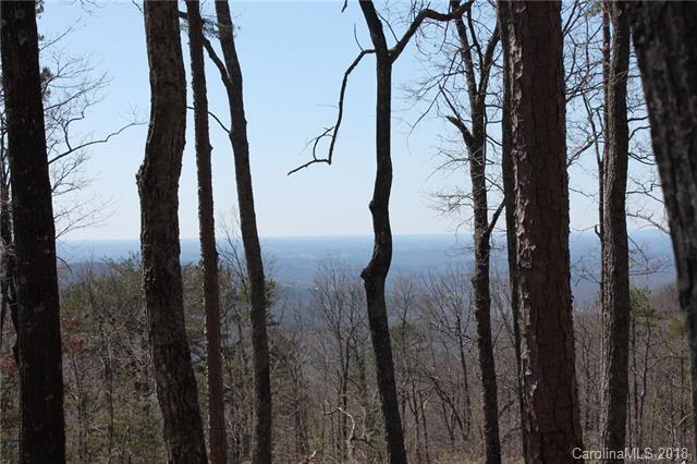 Lot 20 Locust Ridge Bostic, NC 28018 - Photo 13 of 14 Gallery Image 13