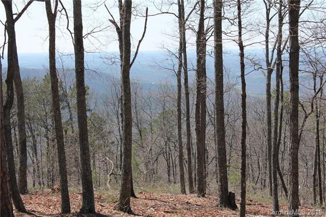 Lot 20 Locust Ridge Bostic, NC 28018 - Photo 14 of 14 Gallery Image 14