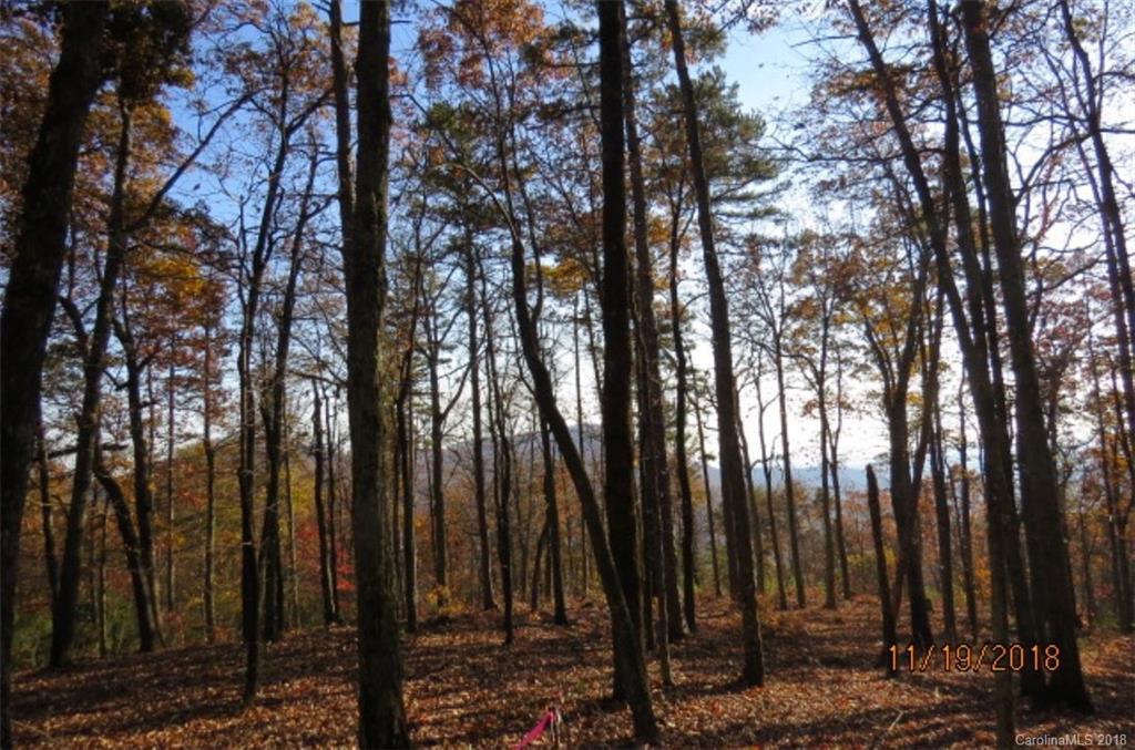 Lot 20 Locust Ridge Bostic, NC 28018 - Photo 4 of 14 Gallery Image 4