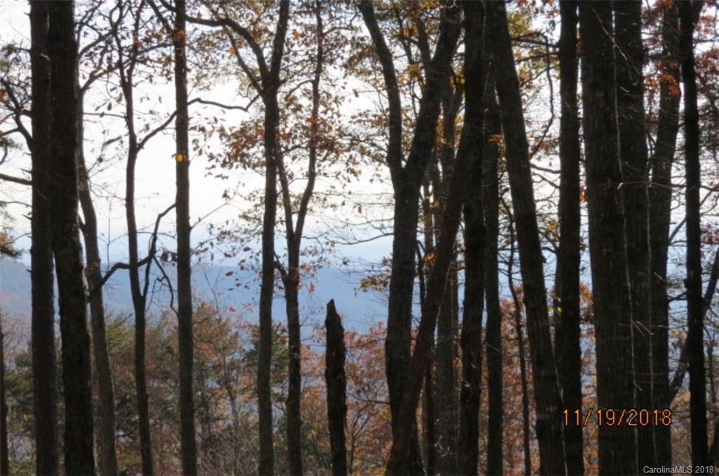 Lot 20 Locust Ridge Bostic, NC 28018 - Photo 6 of 14 Gallery Image 6