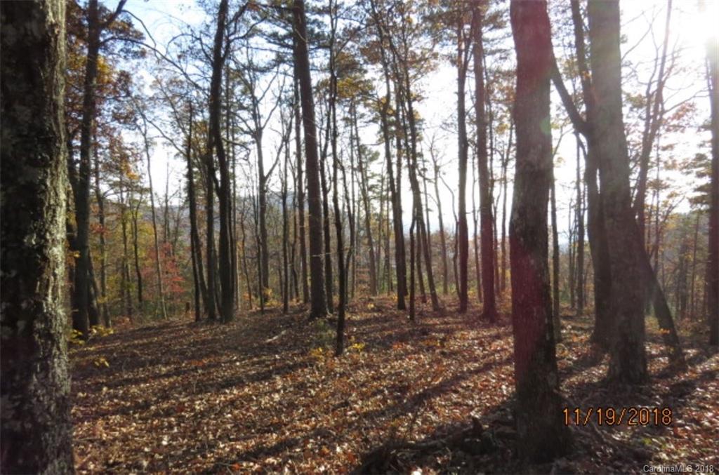 Lot 20 Locust Ridge Bostic, NC 28018 - Photo 8 of 14 Gallery Image 8