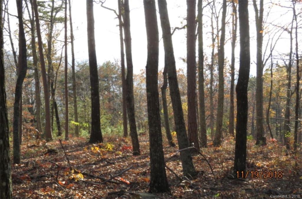 Lot 20 Locust Ridge Bostic, NC 28018 - Photo 9 of 14 Gallery Image 9