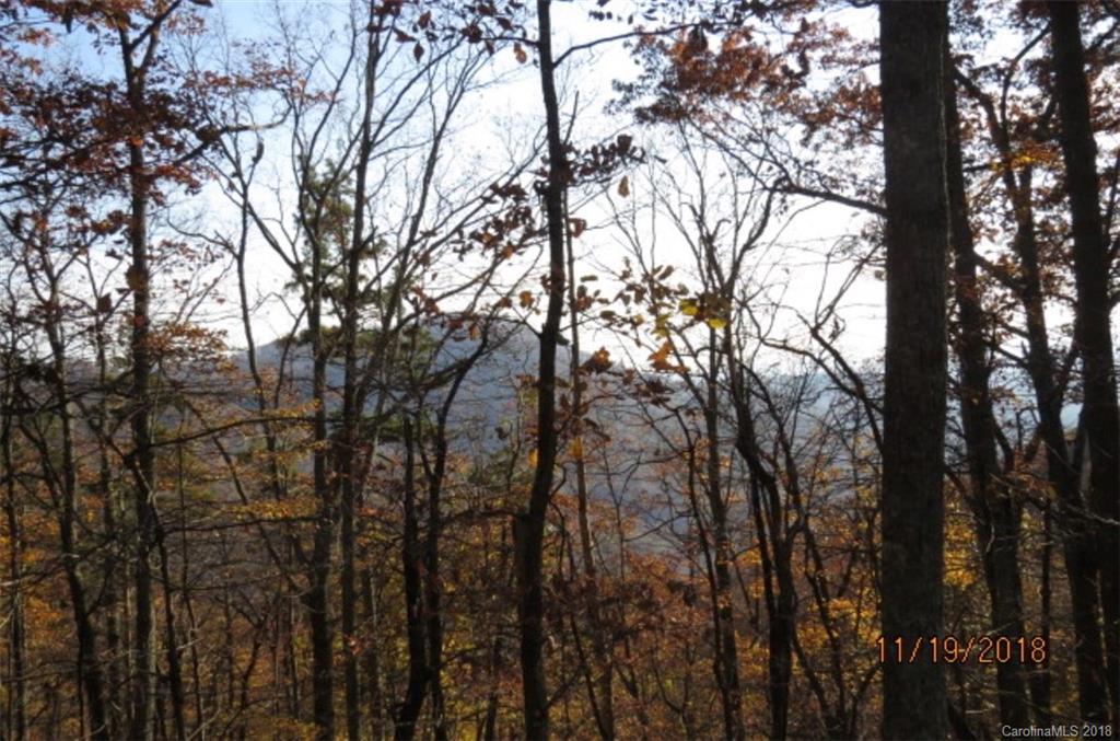 Lot 20 Locust Ridge Bostic, NC 28018 - Photo 10 of 14 Gallery Image 10