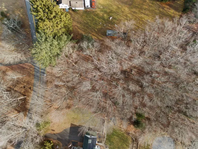 a view of a field with plants and trees
