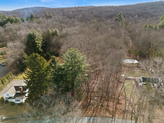 a view of a city with lush green forest