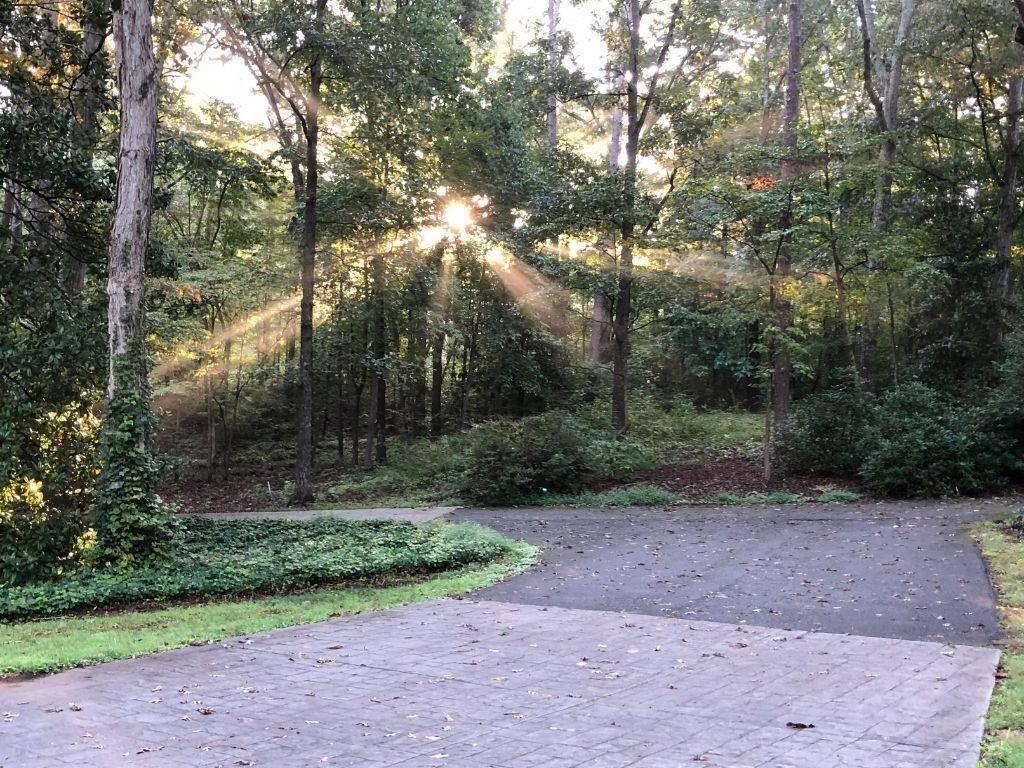 286 Hilton Way Canton, GA 30114 - Photo 51 of 59 a view of a yard
