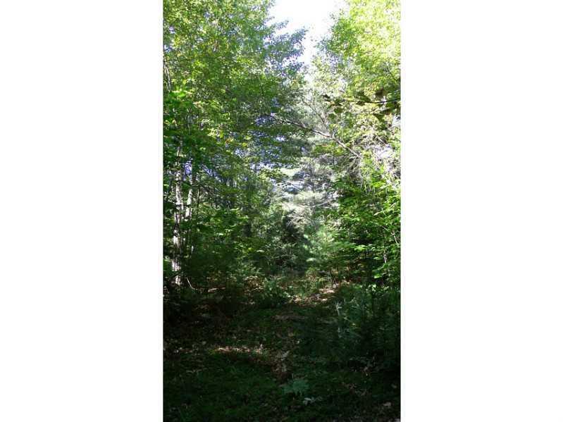 81 Tobin Flat Road Wilton, ME 04294 - Photo 5 of 14 Land/Lot.
