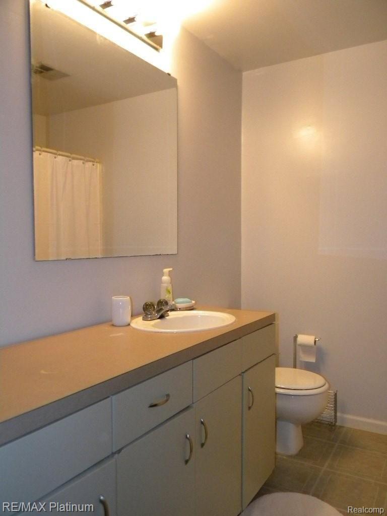 1240 Grebe Road Highland, MI 48357 - Photo 19 of 25 Lower Level Full Bath