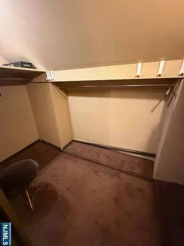 a living room with furniture potted plant and a window