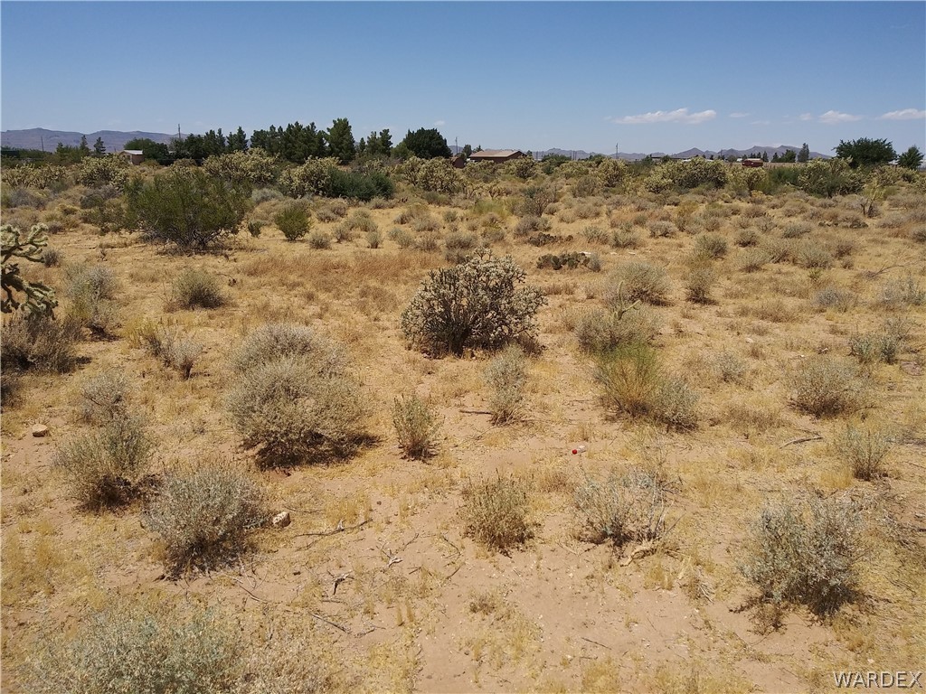 0 North Heber Road Golden Valley, AZ 86413 - Photo 2 of 3