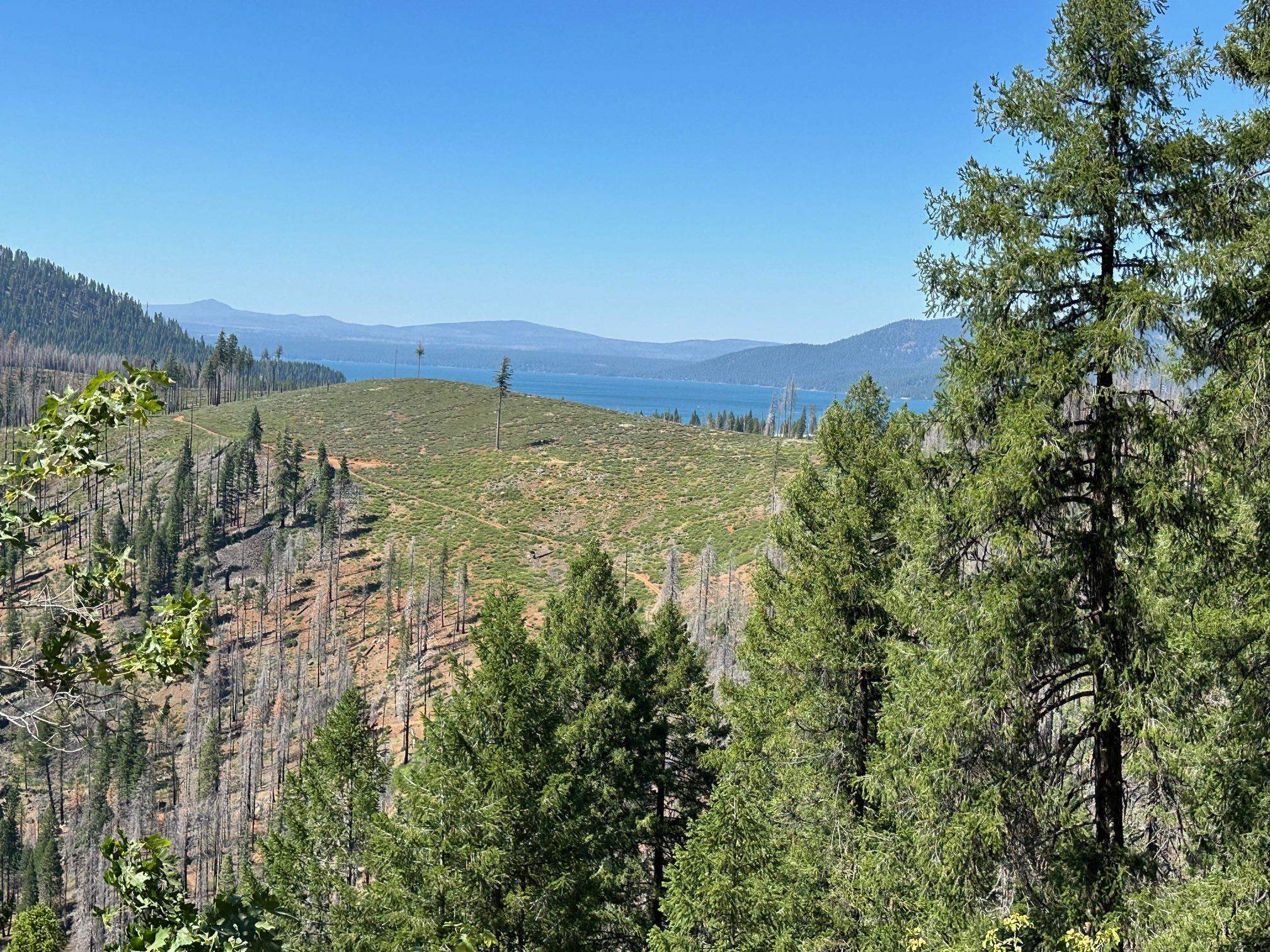 5680 Seneca Road Canyon Dam, CA 95923 - Photo 6 of 7 Gallery Image 6
