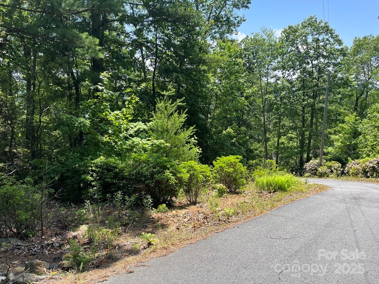 0 Humpback Mountain Road Spruce Pine, NC 28777 - Photo 13 of 25