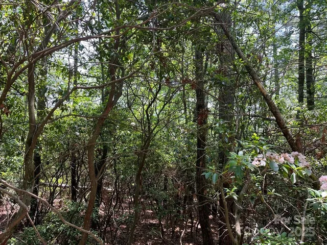 a view of a swimming pool with a fountain