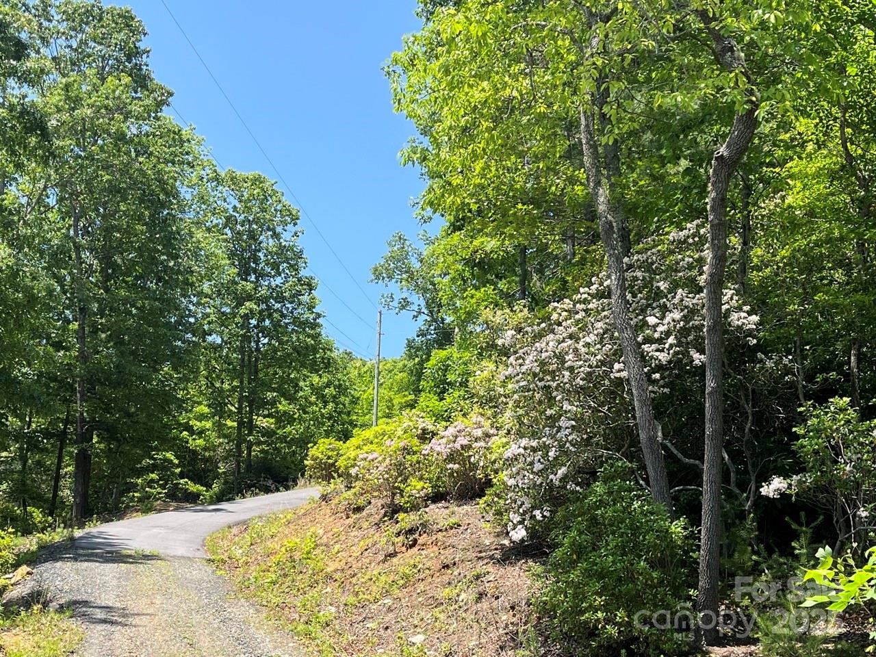 0 Humpback Mountain Road Spruce Pine, NC 28777 - Photo 17 of 25 a view of a garden with plants