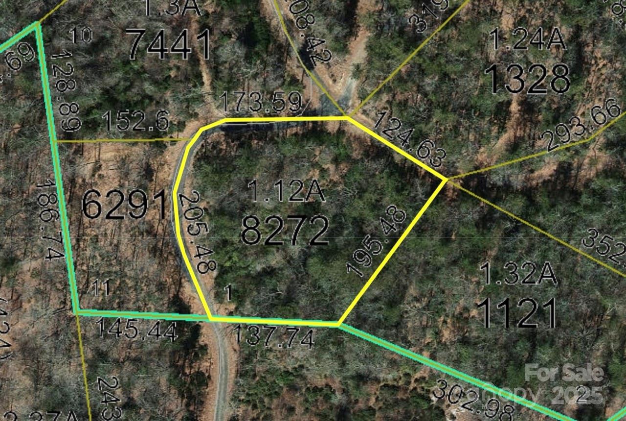 0 Humpback Mountain Road Spruce Pine, NC 28777 - Photo 18 of 25 a view of a swimming pool with a fountain