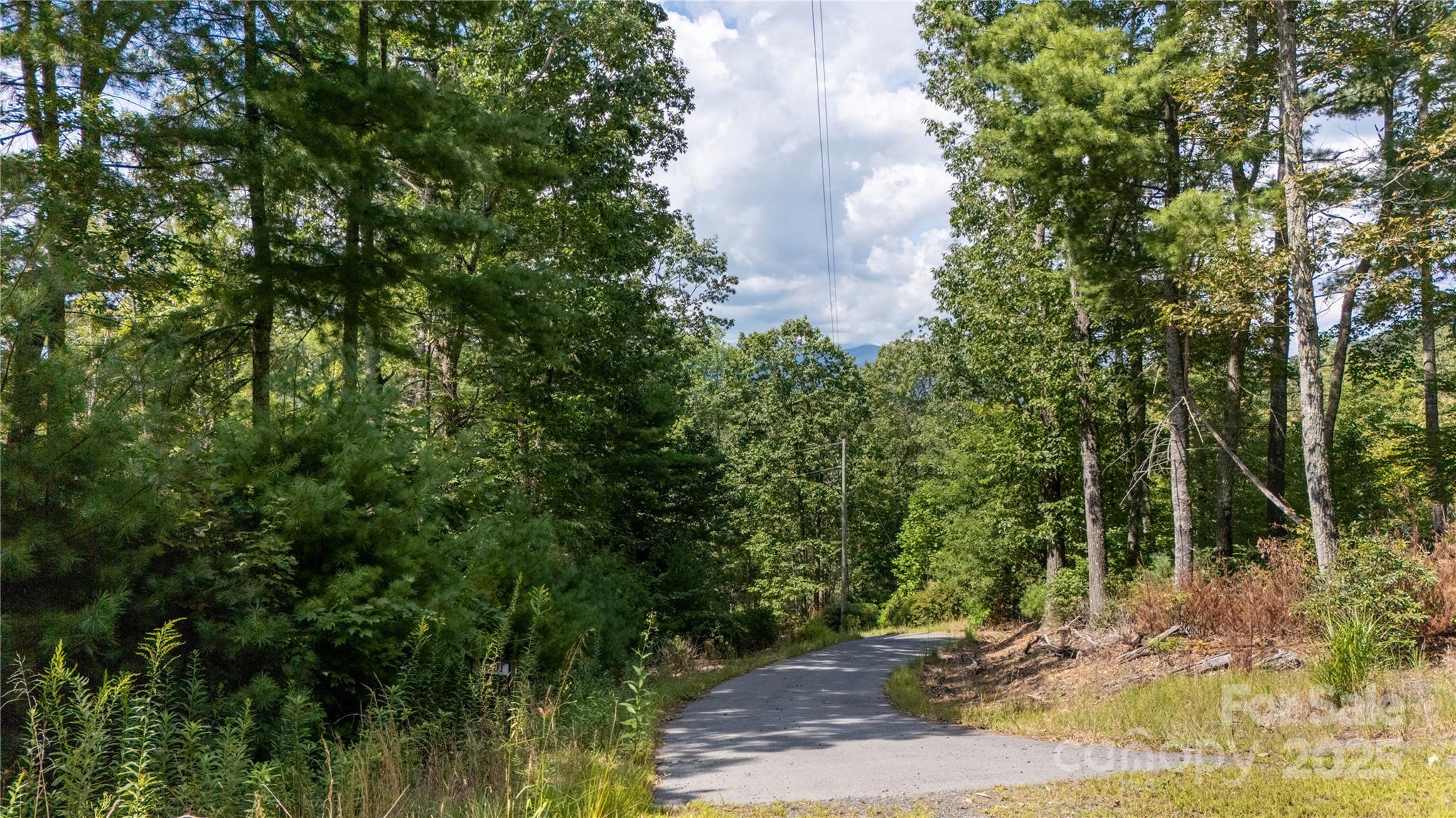 0 Humpback Mountain Road Spruce Pine, NC 28777 - Photo 19 of 25 a backyard of a house with lots of green space