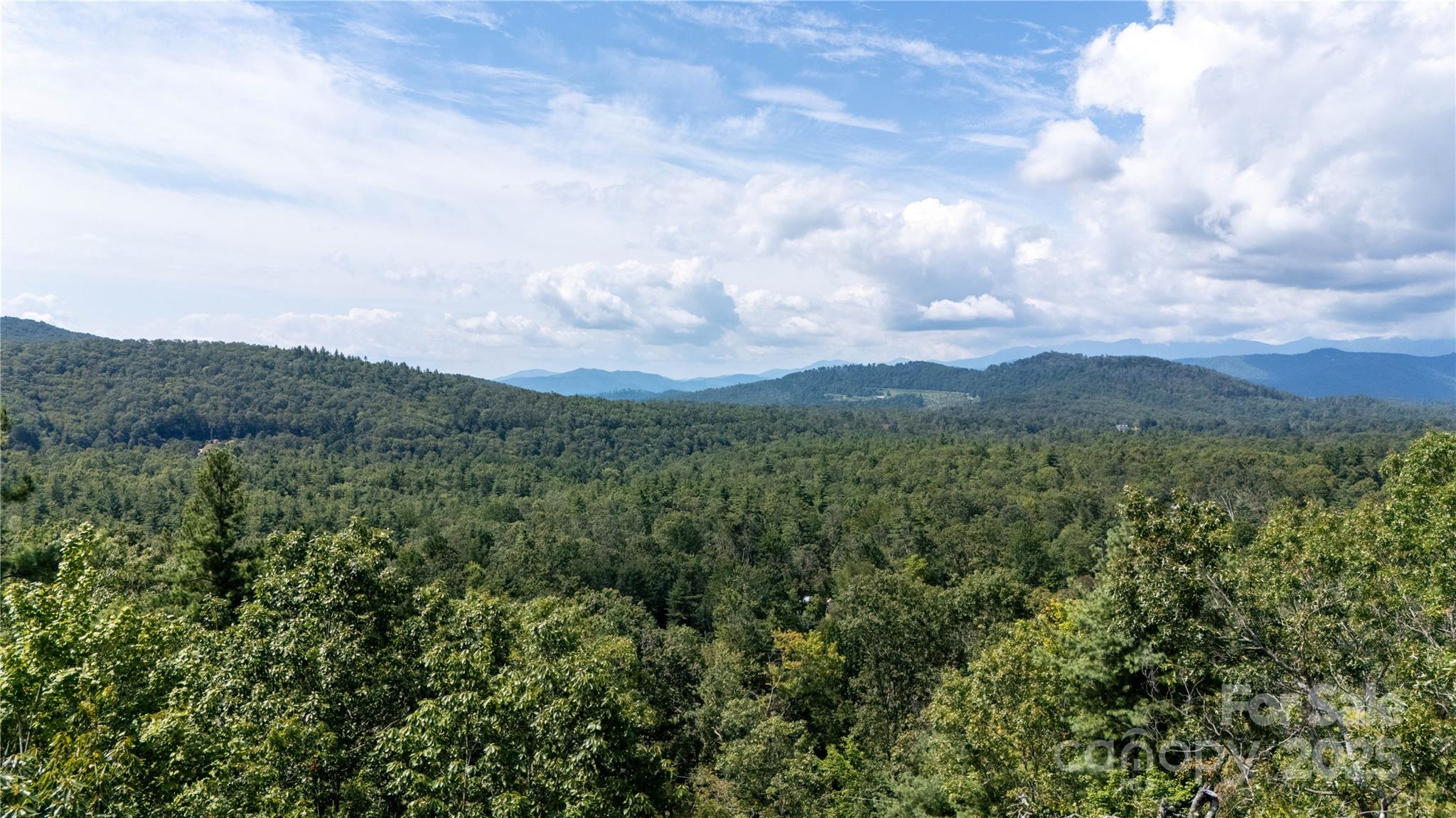 0 Humpback Mountain Road Spruce Pine, NC 28777 - Photo 20 of 25 a view of a green field with lots of bushes