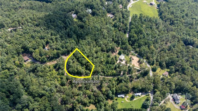 a view of a lot of trees in background