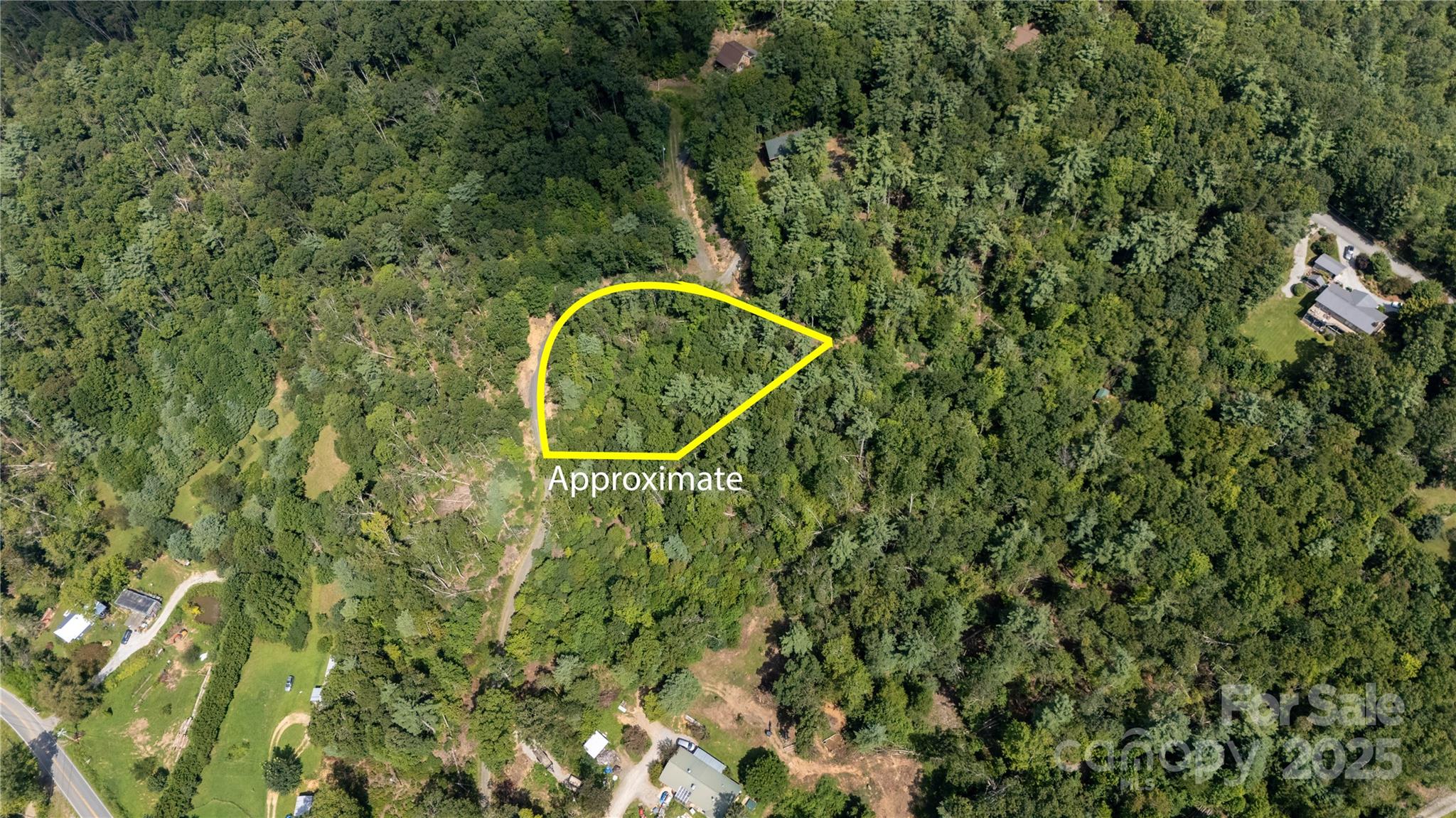 0 Humpback Mountain Road Spruce Pine, NC 28777 - Photo 23 of 25 a picture of a tree