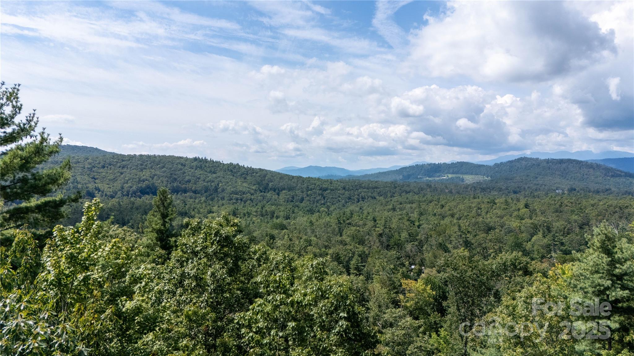 0 Humpback Mountain Road Spruce Pine, NC 28777 - Photo 25 of 25 a view of a city and mountains