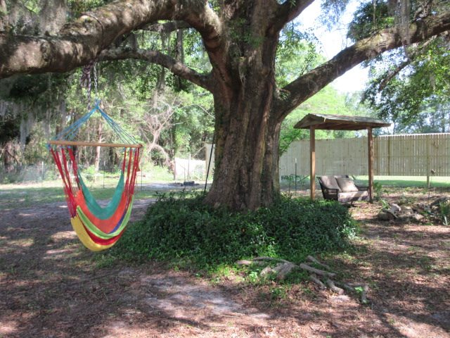 1307 Houck Road Perry, FL 32348 - Photo 10 of 13