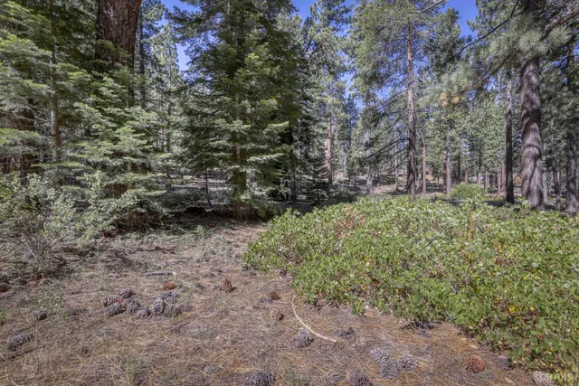 $709,000 | 1352 Tata Lane, South Lake Tahoe, CA 96150