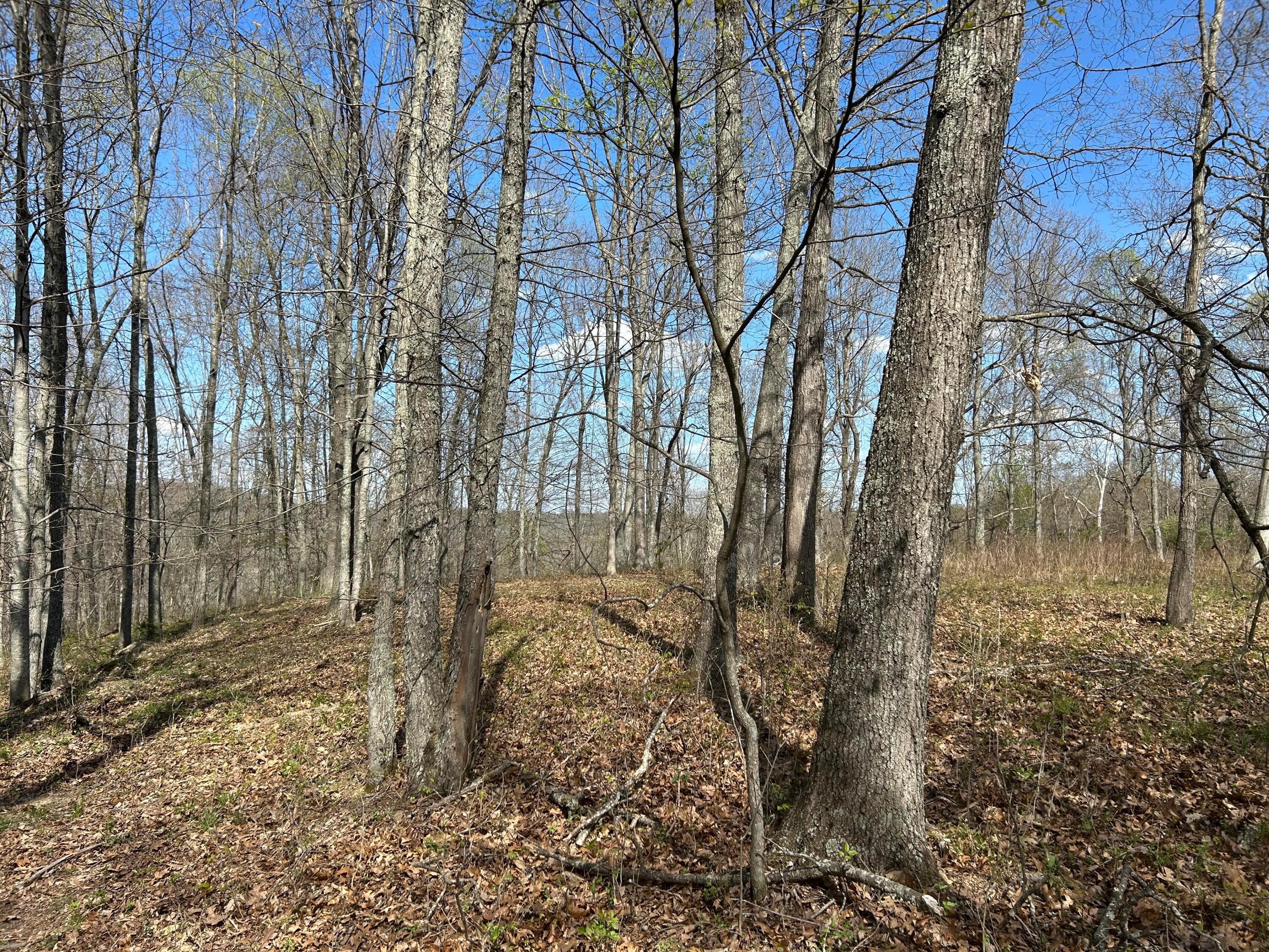 1322 Peniel Road Patriot, OH 45658 - Photo 26 of 54 Pic 20