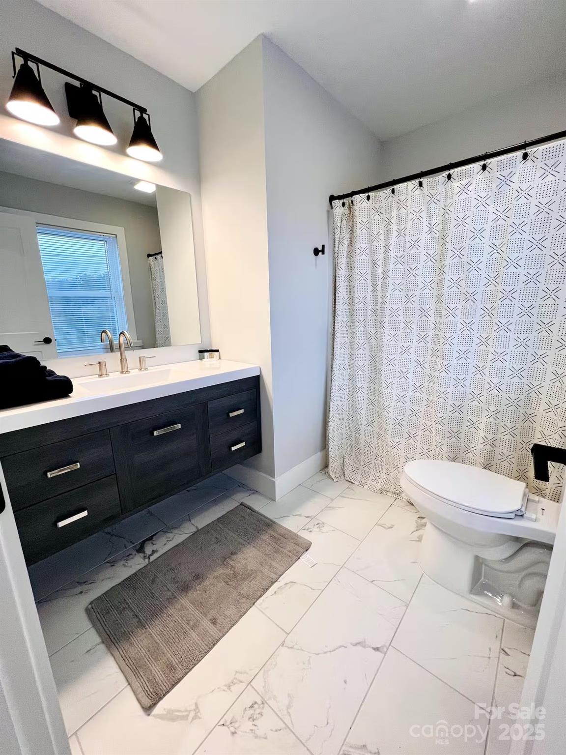 1057 Riverside Drive Asheville, NC 28804 - Photo 24 of 42 a bathroom with a sink vanity mirror and toilet