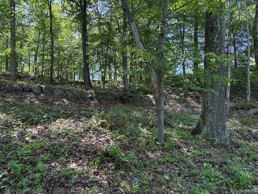 98 Ice Pond Road Brewster, NY 10509 - Photo 4 of 6