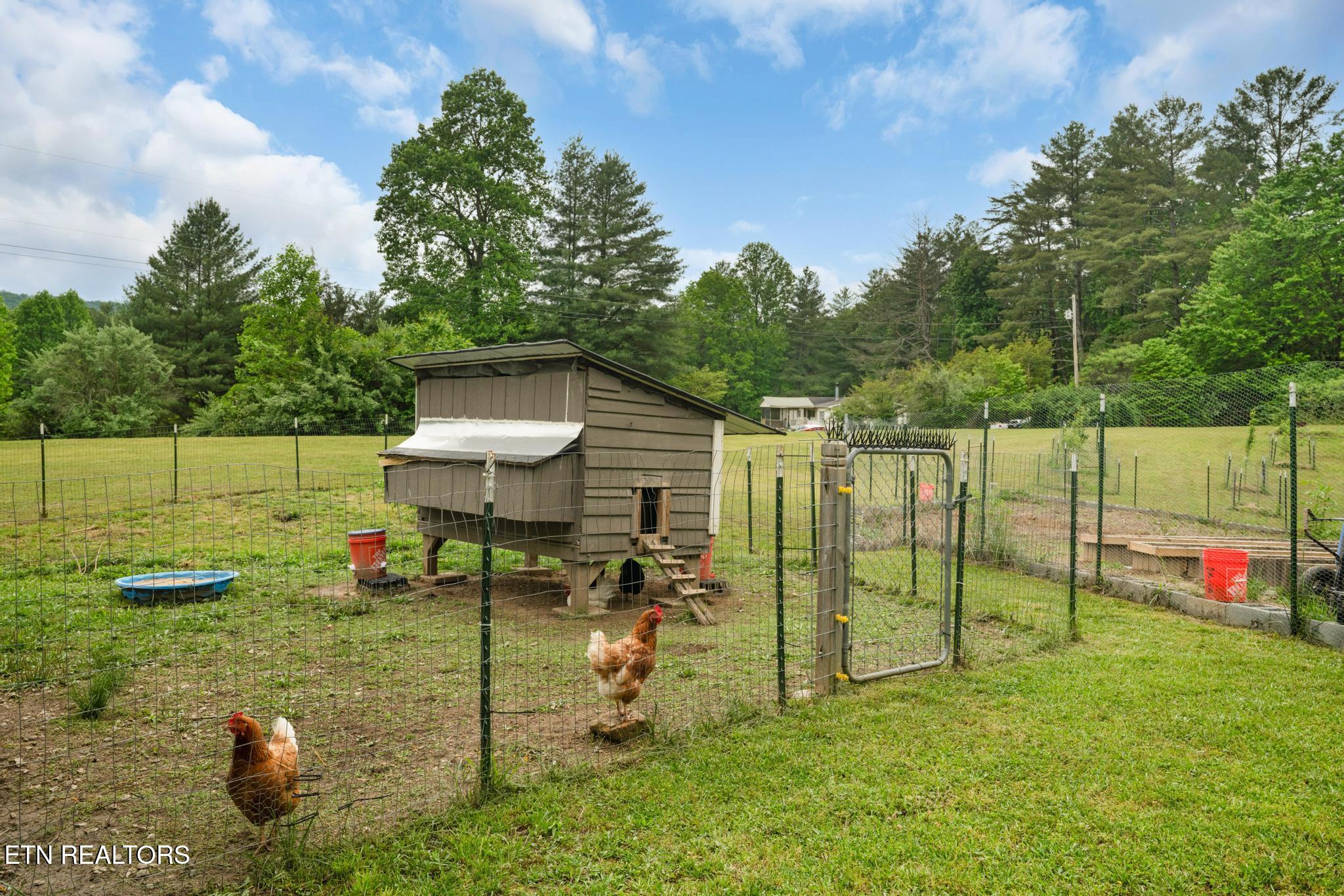 133 Mj Sheldon Road Harriman, TN 37748 - Photo 34 of 44 Room for Chickens!