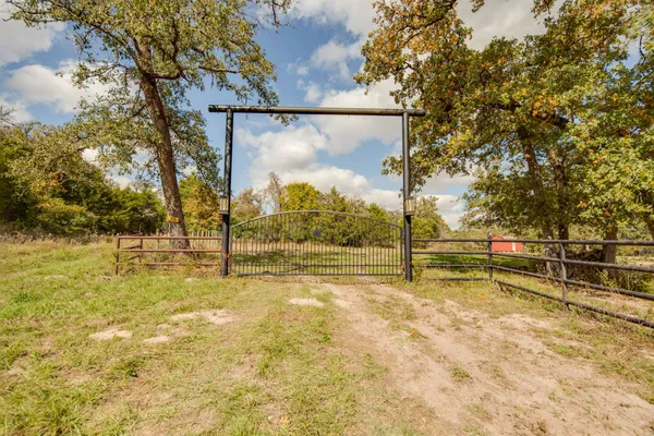 a view of a backyard with large trees and wooden fence