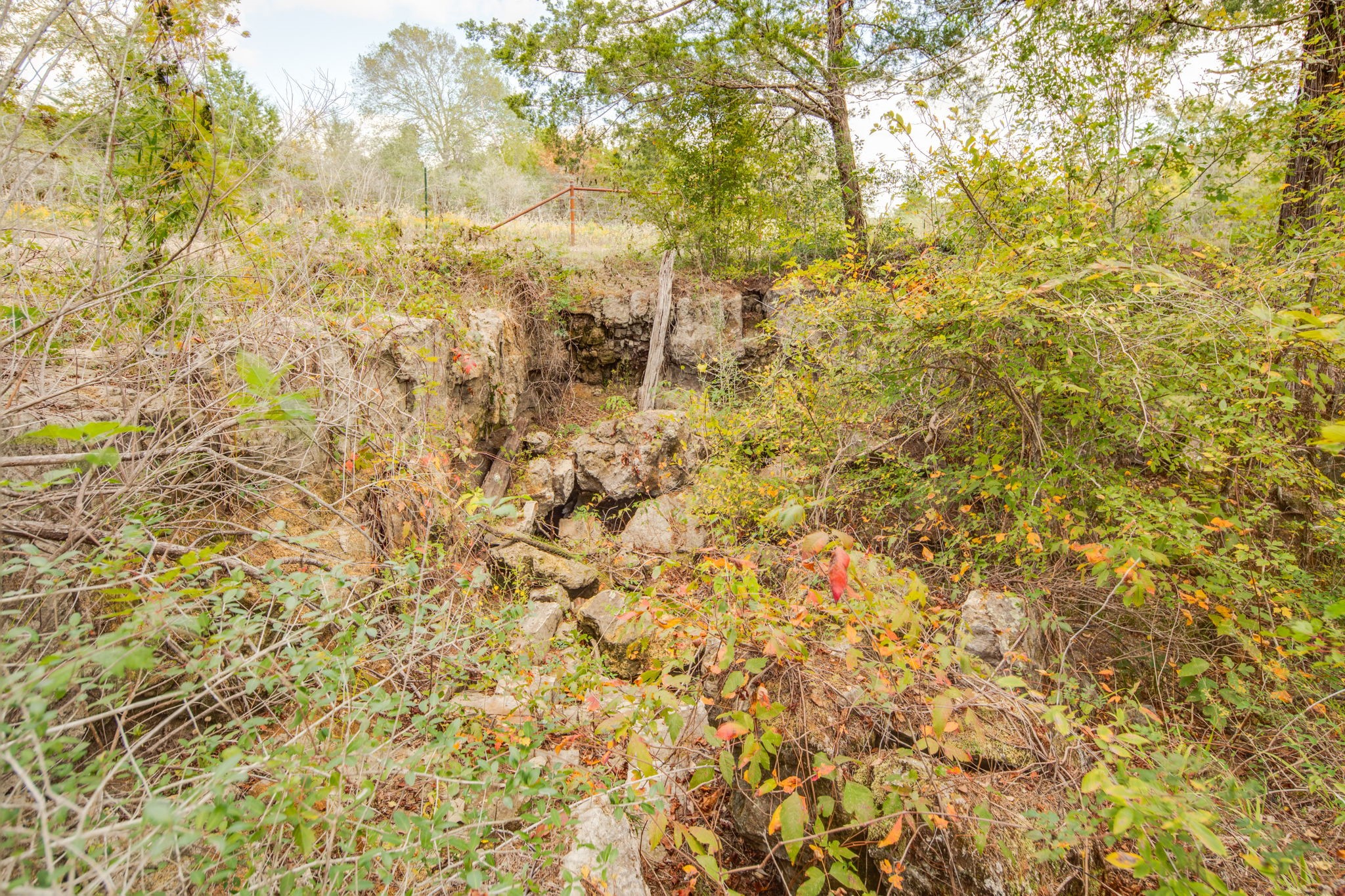 272 Pine Road Somerville, TX 77879 - Photo 17 of 22