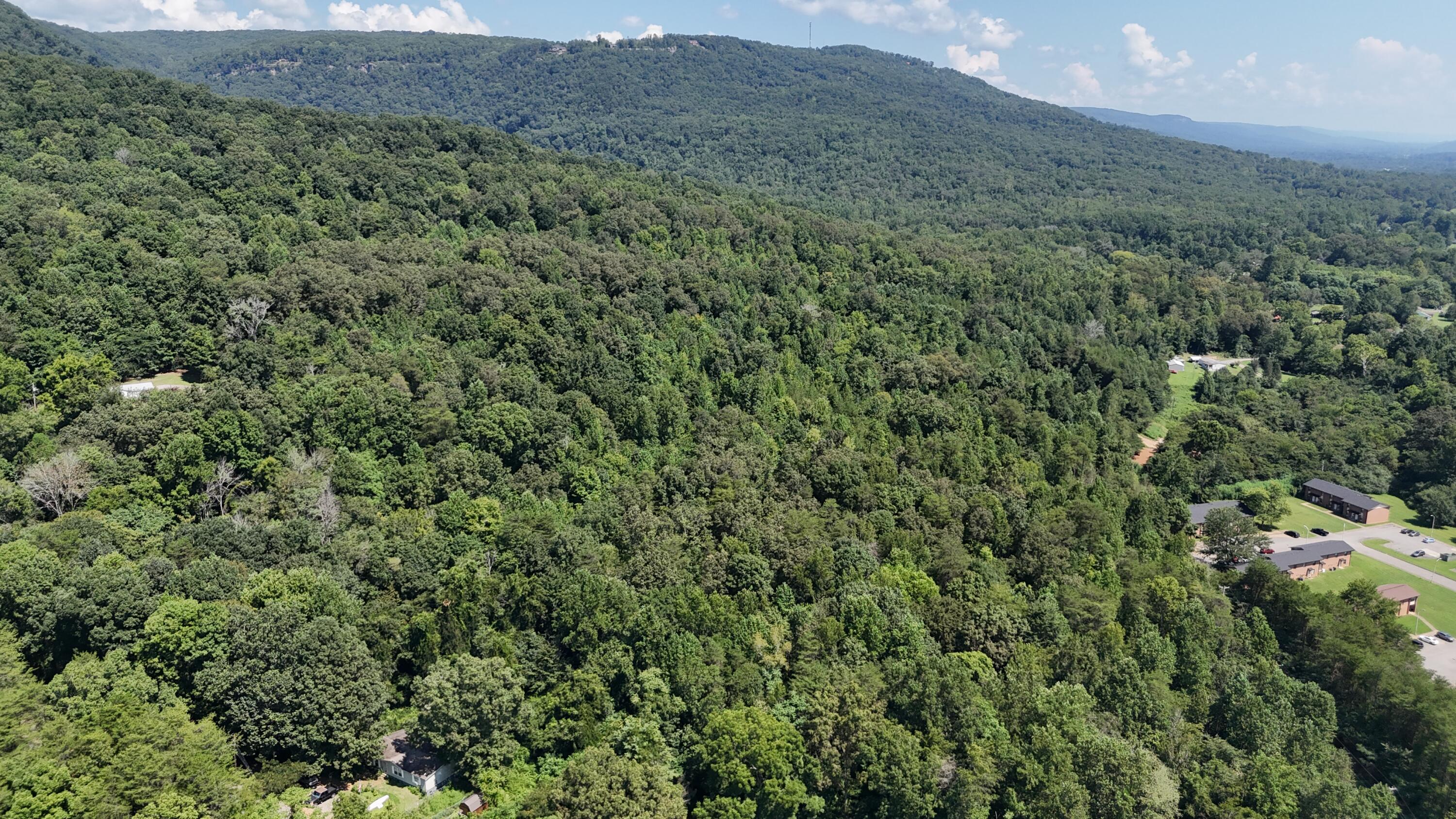 0 Buddy Skyles Road Dunlap, TN 37327 - Photo 22 of 30 DJI_20250816121953_0017_D