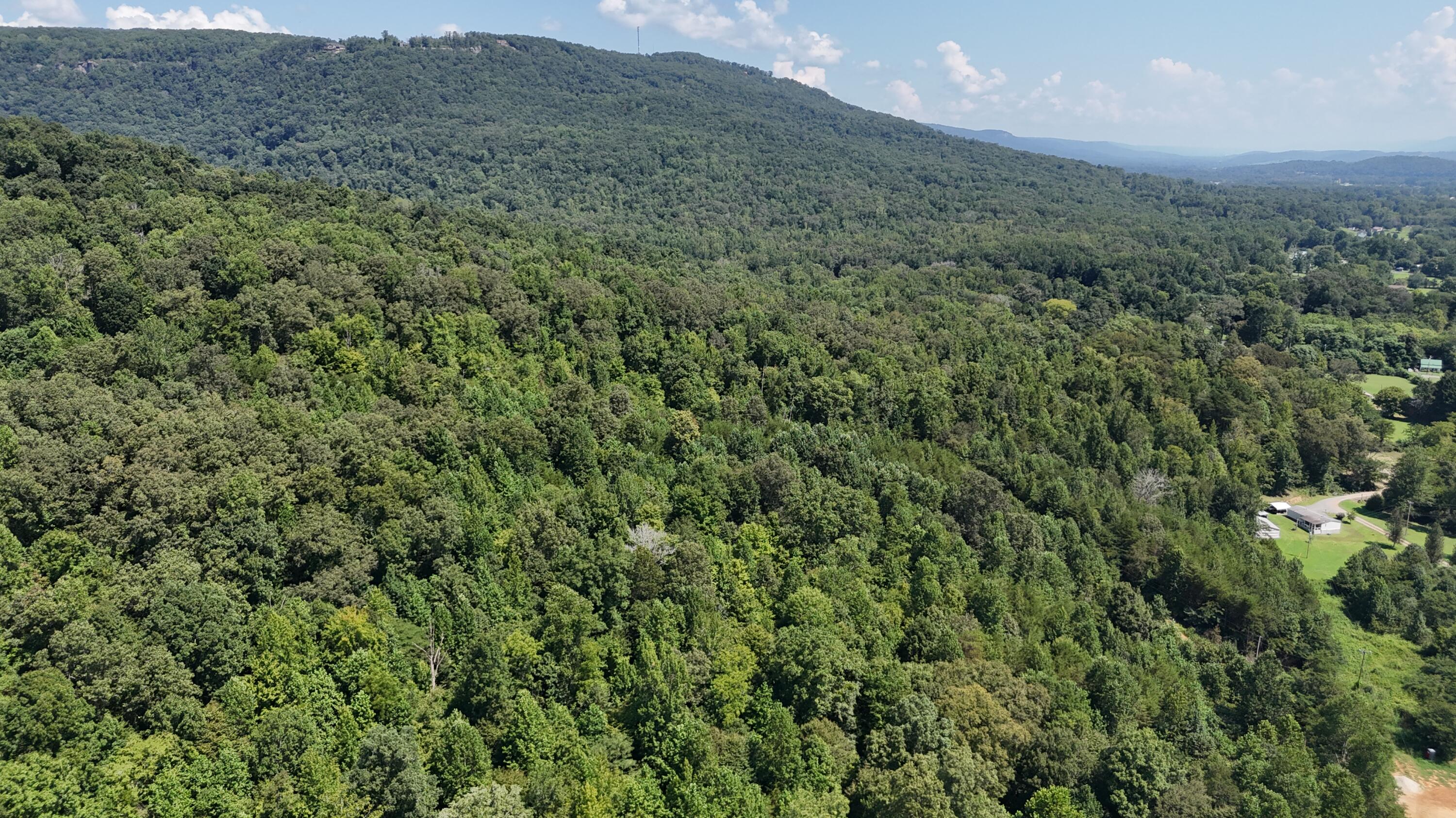 0 Buddy Skyles Road Dunlap, TN 37327 - Photo 24 of 30 DJI_20250816122018_0019_D