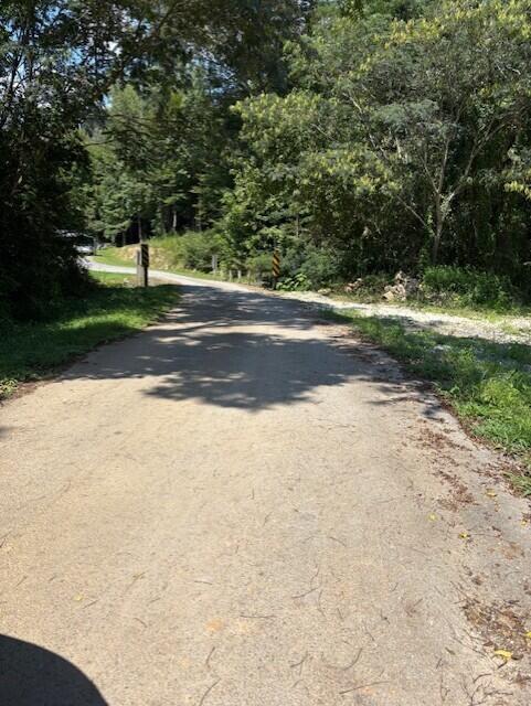 0 Buddy Skyles Road Dunlap, TN 37327 - Photo 29 of 30 Beginning entering gravel road