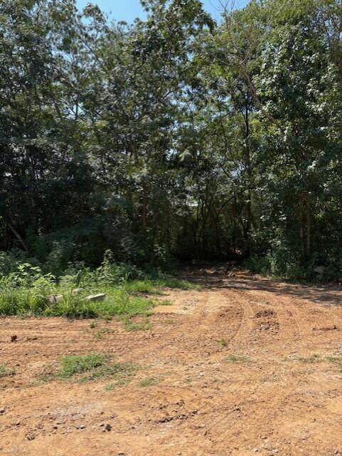 0 Buddy Skyles Road Dunlap, TN 37327 - Photo 30 of 30 Area across creek and behind the apartme