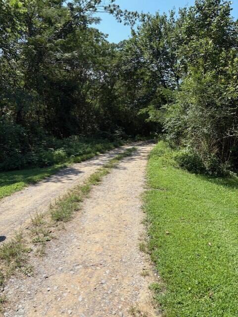 0 Buddy Skyles Road Dunlap, TN 37327 - Photo 3 of 30 Beginning going up gravel road