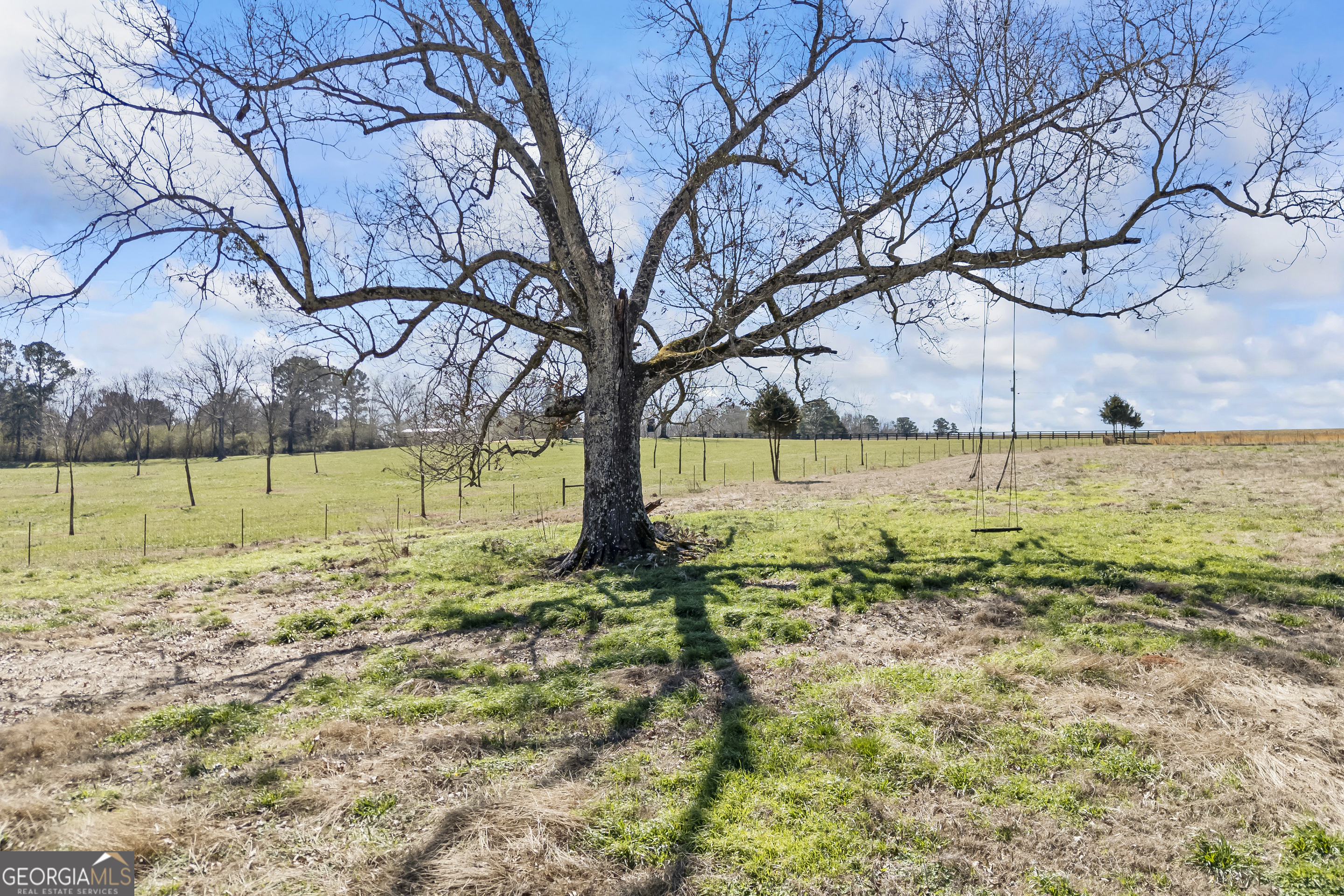 2223 Salem Road Watkinsville, GA 30677 - Photo 60 of 94 a view of a yard with an trees