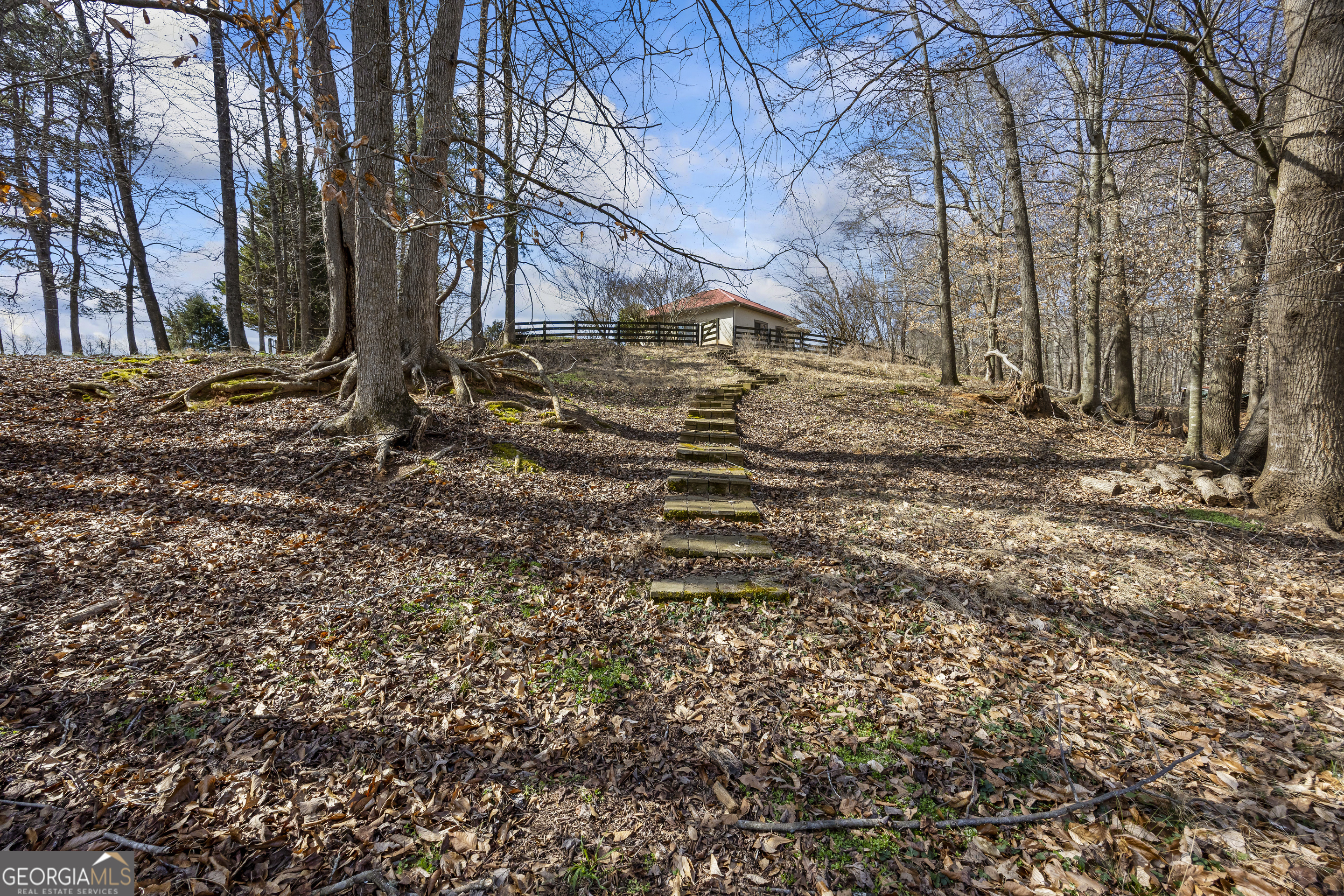 2223 Salem Road Watkinsville, GA 30677 - Photo 66 of 94