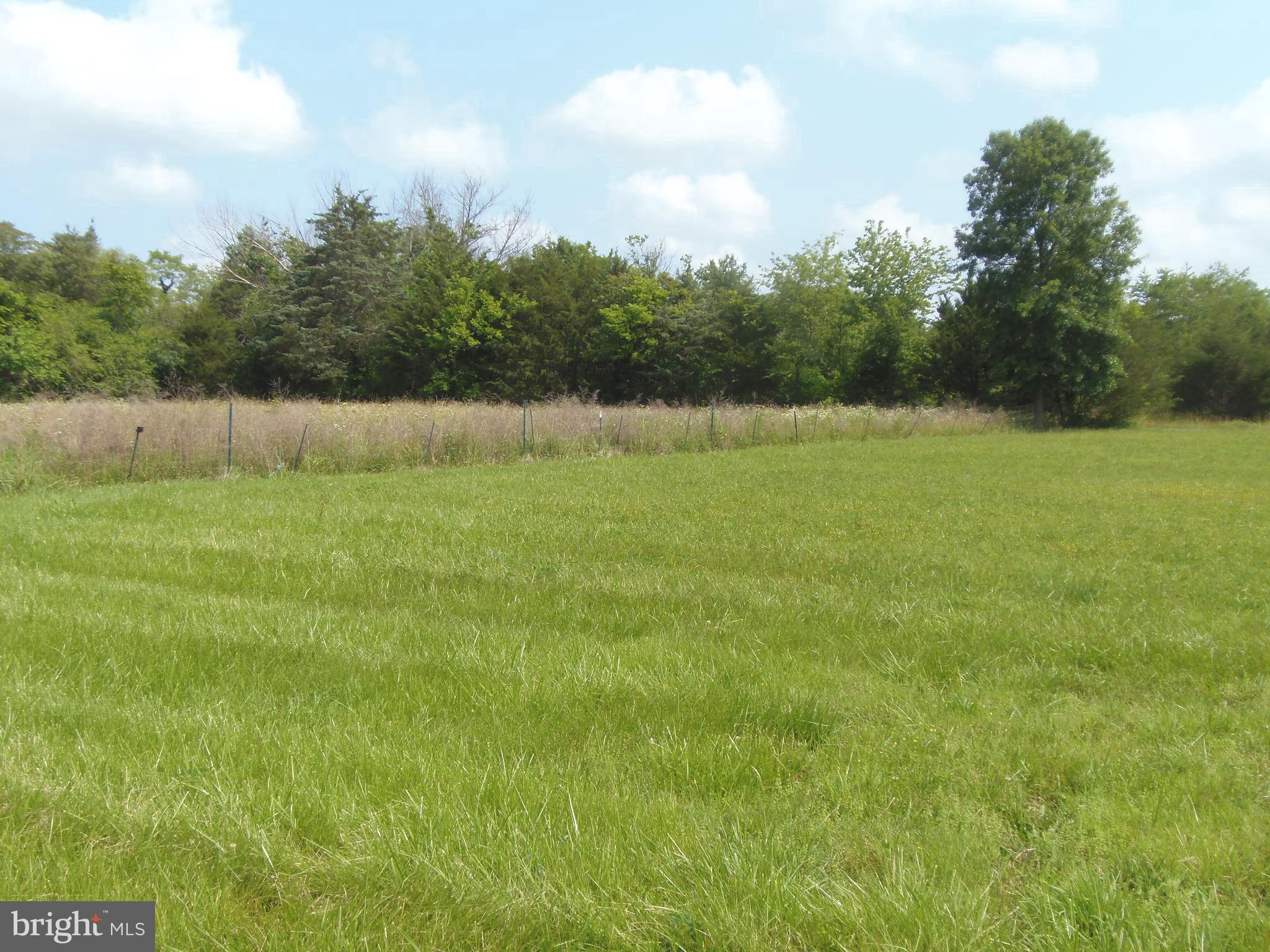 12058 Mitchell Road Mitchells, VA 22729 - Photo 34 of 38