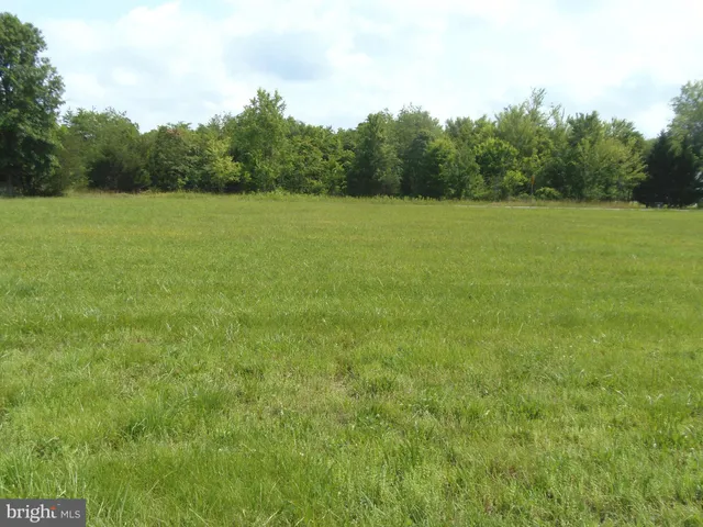 a view of a green field with trees in the background