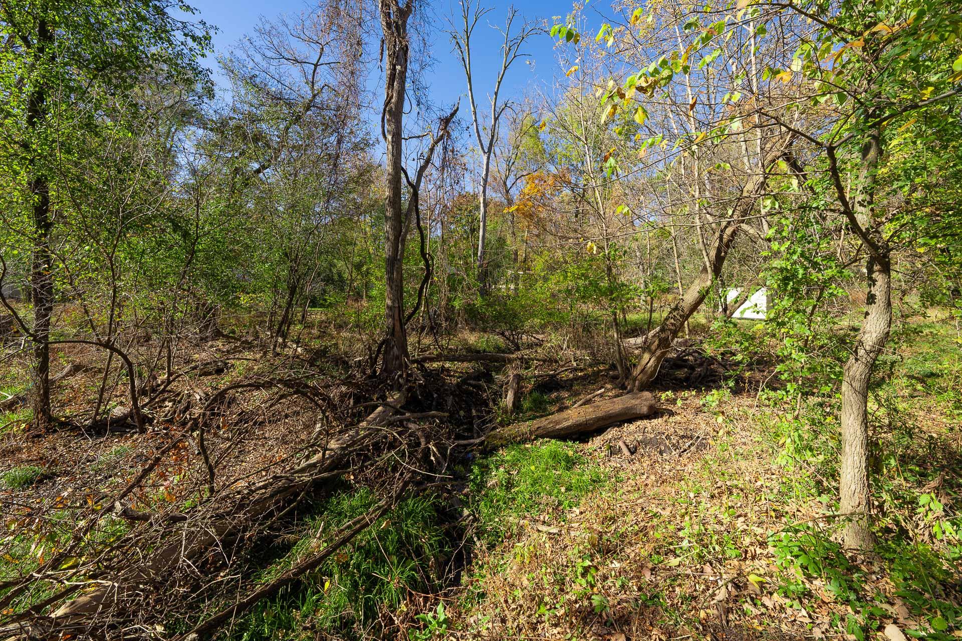 Lt0 Robin Road Geneva, WI 53147 - Photo 8 of 14 Creek Crosses Property